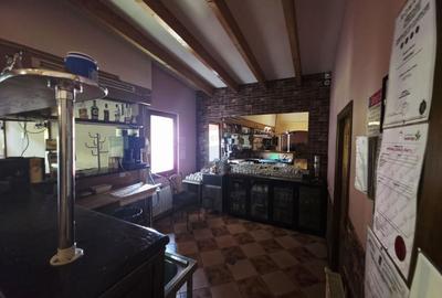 Hotel / Pensiune cu 7 camere de vânzare - 44