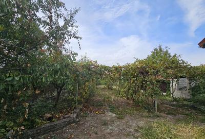 Casă Comuna Bălănești - 12