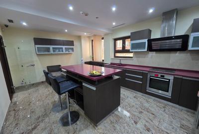 Timpuri Noi, 10 minute metrou, pe Cuza Voda, vila exclusivista P+1+M, lux, - 24