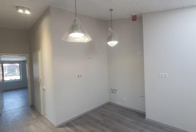 Domenii, casa D+P+1+M la prima închiriere - 14