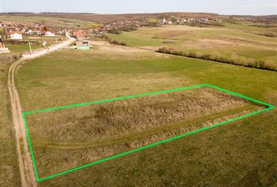 RECO teren intravilan in Betfia - 3