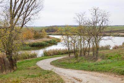 Teren 84.400 mp, ideal dezvoltare rezidentiala, PUZ aprobat, Frumusani - 2