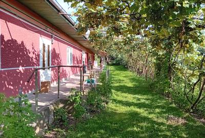 DE vanzare casa curte comuna in Cristesti - 2