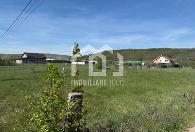 Teren intravilan 952 mp – Jucu de Mijloc, aproape de DN1C - 3