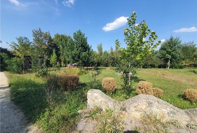 Teren intravilan Sacel -zona lacuri -ultimul lot de 900mp - 15