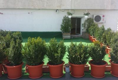 REA1022771 Apartament 6 camere l Rond Alba Iulia - 8