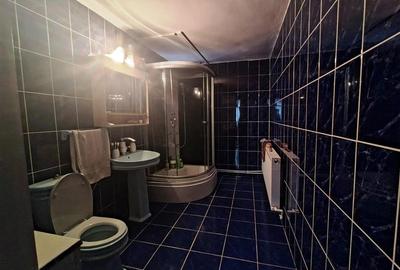 Casa individuala | Burdujeni | C-5683 - 9