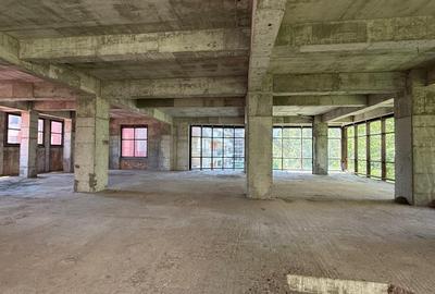REC3001458 Stefen cel Mare l Spatiu comercial l 1450 mp - 8