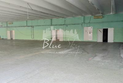 Spațiu Generos cu Terasă Circulabilă în Centru - 15