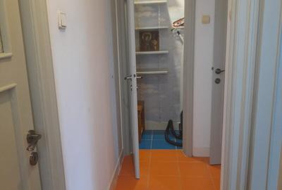 DOROBANTI ,IANCU DE HUNEDOARA GARSONIERA  PET FRIENDLY INCHIRIERE - 9