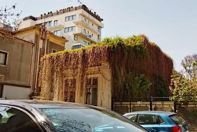 Piata Victoriei, casa ( se poate demola),  demolabila/ renovabila, pentru P+3 - 2
