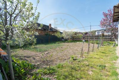 Casa + 948 MP Teren | Merisani - 4
