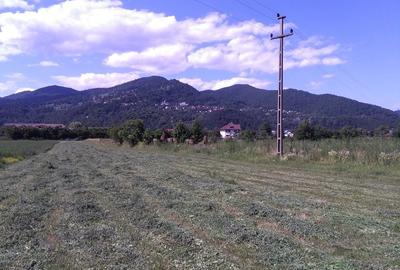 Teren intravilan , Vadurele - 2