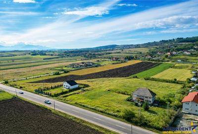 Proprietate remarcabila: 32.000mp teren, acces direct DJ112,Ilieni,Covasna - 4