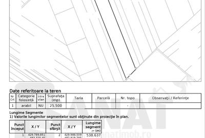 RO/EN Ocazie: Teren de 50.400 mp in Sura Mica - 3