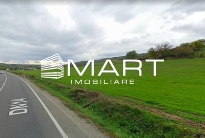 Teren extravilan 42000MP Seica Mare - Sibiu - 2