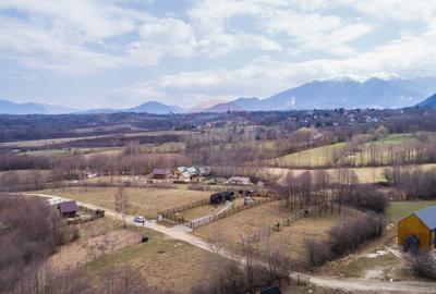 Teren intravilan 850mp Zarnești-Bran, natura-relaxare - 10