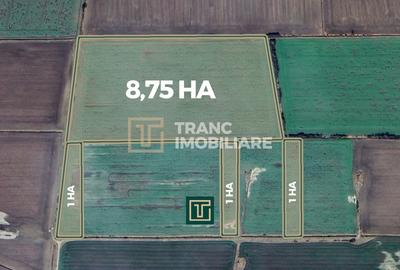Teren agricol de 11,75 ha de vânzare, la 1,5 km de Turnu, jud. Arad - 2