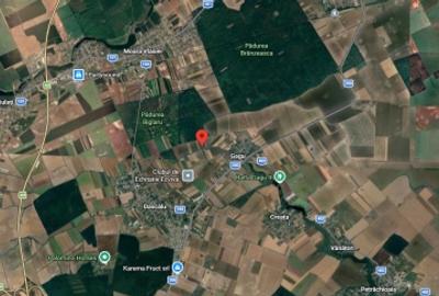 Teren de vanzare in Ilfov, Gagu, deschidere 74ml, 20762mp, 124.572euro - 2