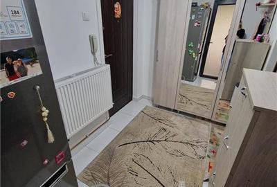 APARTAMENT 2 CAMERE DECOMANDAT PODU ROS DEDEMAN - 20