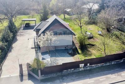 Casa cu 3 camere si 1500mp teren de inchiriat in Faget - 4