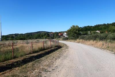 Teren plat, intravilan, zona rezidentiala in Corunca. Ideal pentru investitor - 4