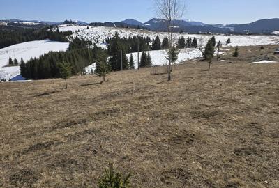 Teren intravilan 1500 mp – Zonă deosebită, Piatra Fântânele - 4