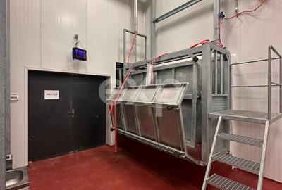 Black Angus Farm with authorized Slaughterhouse - 15