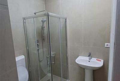 Casa 3 camere, curte individuala, zona Stefan cel Mare - 11