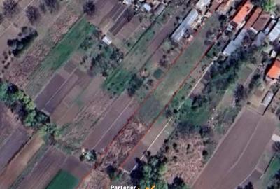 Teren intravilan mixt 3750 mp, utilitati la poarta, Magurele/Varteju - 1