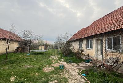 Teren intravilan generos de vânzare în Recaș - 1