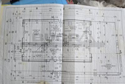 Casa individuala, mobilata & utilata, Campenesti - 10