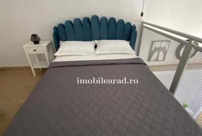 Apartament 60 Euro pe zi, amenajat in stil unic langa Primaria Arad - 8