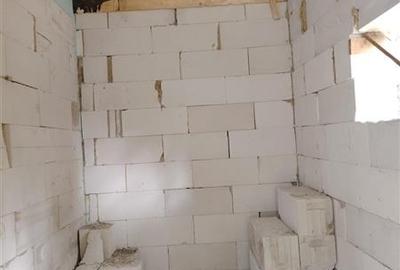 Casa de vacanta nefinalizata (Borzont) - 9
