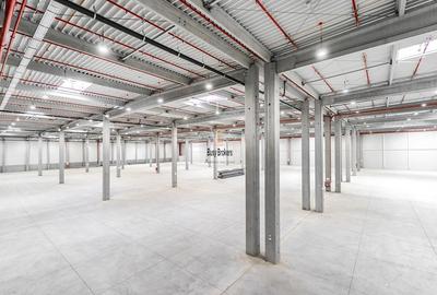 Spatii Industriale - 10000 mp - Logistica - Depozitare - Productie - 3