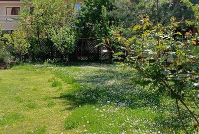 Băneasa  închiriez ap 3 cam vila et 2+mansarda mobilat tot 1 loc parcare garaj - 3