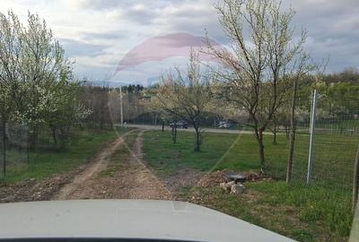 Teren 1430 cu autorizație pentru 2 case | Casă ridicată la roșu - 5