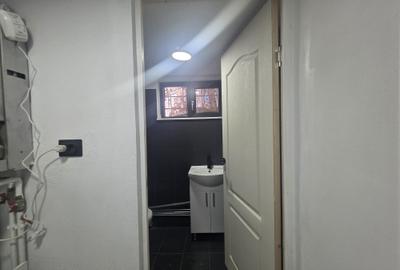 Inchiriez spatiu depozitare demisol Gemenii - 5