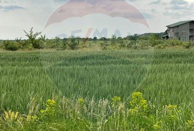 Teren intravilan, un colț de liniște, aflat în Petrești, Corbeanca - 6