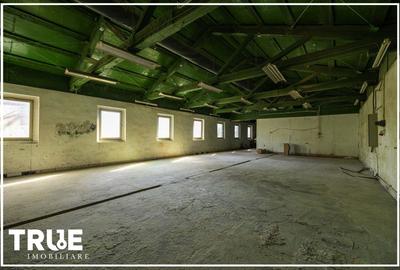 Hală de producție și depozitare - Voiniceni, Mureș - 15