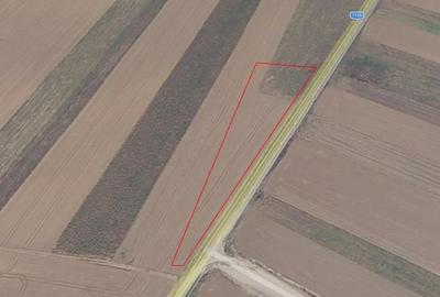 Teren agricol extravilan de 5000 mp, în Tărlungeni