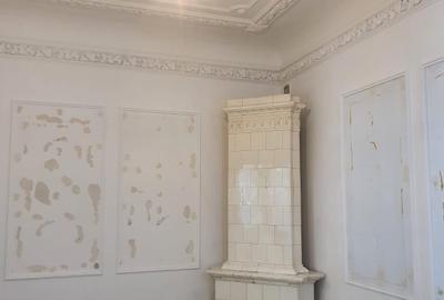 UNIRII,MANTULEASA,SECTOR 2,  VILA   SUPERBA  ,IDEAL FIRMA/CLINICA,1100000EURO - 11