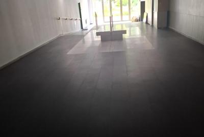 APARTAMENT 3 CAMERE AVIATIEI-SERBANESCU - 6