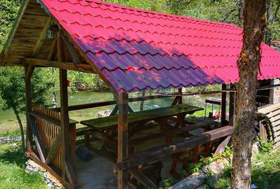 Casa de vacanta perfecta pe malul Cernei - 4