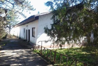 Teren intravilan Mogosesti | Giurgiu | 370.000mp | Adunatii Copaceni - 16