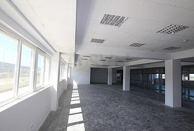 REC3000085 Birouri si hala in parc industrial - zona vest - 18
