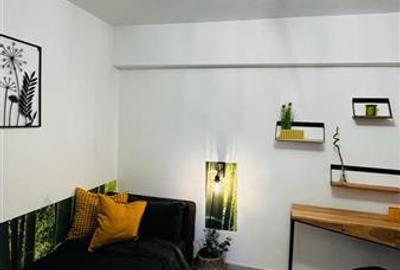 Apartament 3 camere -  vedere Lacul Herastrau - Prima inchiriere - 10