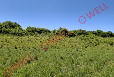 De vânzare teren intravilan de 30 000 m² (3 ha) în Reghin - 12