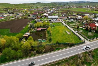 Teren de 6000mp, iaz cu peste, livada de nuci - Ilisesti - 30 km de Suceava - 1