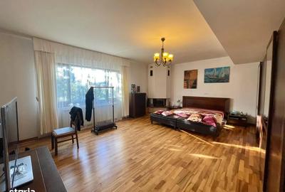 Vila individuala 7 camere de vanzare Piata Presei | Damaroaia | Parcul Herastrau - 4